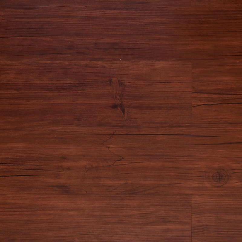 D - 043<br>Noble Elm