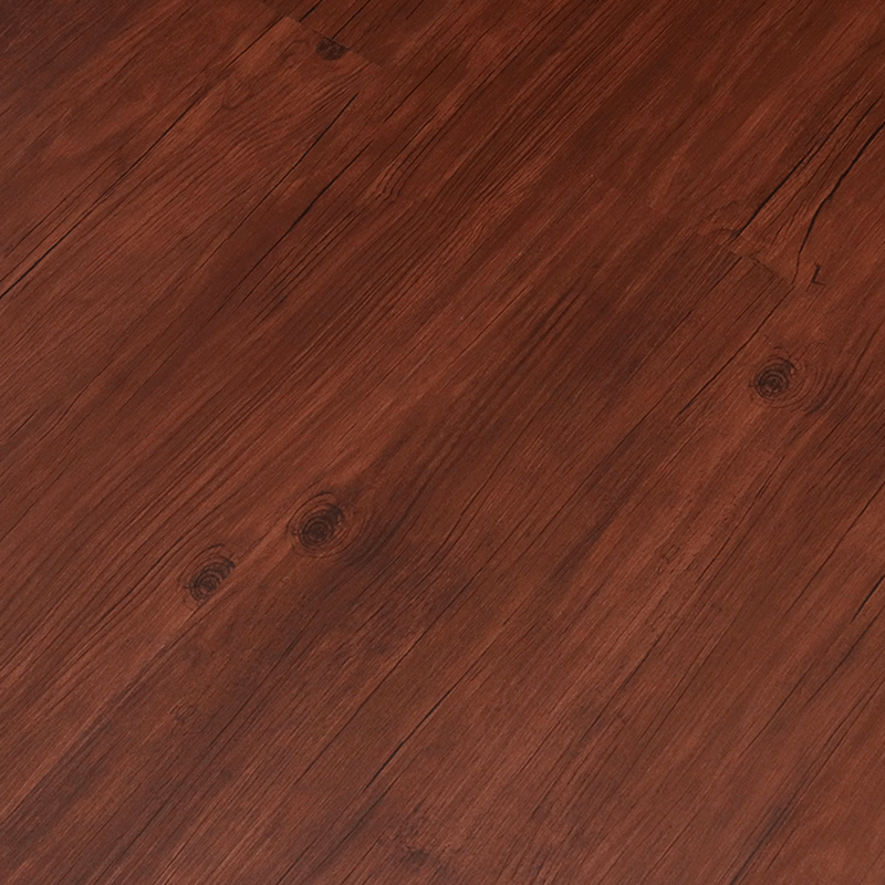 D - 043<br>Noble Elm - Image 2