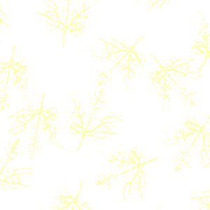 D 22 - 73