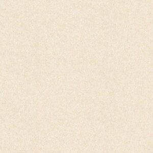 LAIV Wallpaper Evante E190 - 2