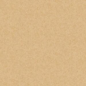 LAIV Wallpaper Evante E190 - 3