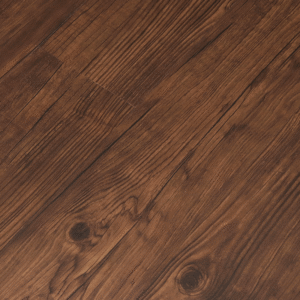 Mi - 05<br>Mercury Oak