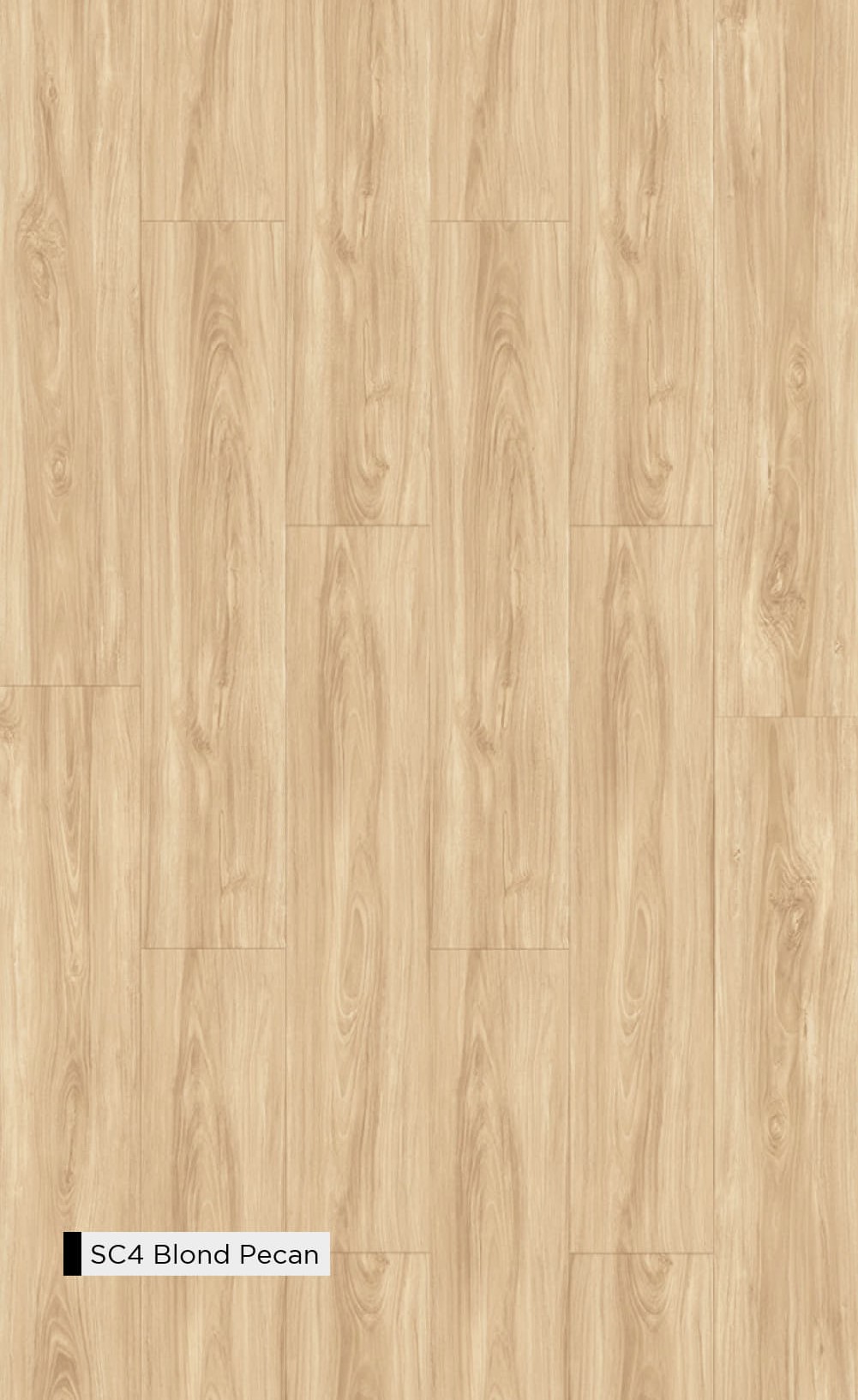SC4 Blond Pecan - Image 2