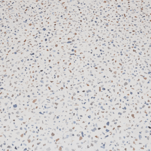 T - 3231<br>Vinive Terazo