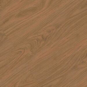 TV 3020 Bailey Acacia